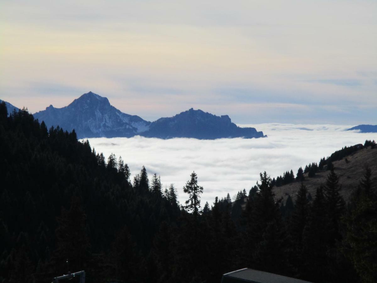 Chalet Le Telemark Thollon-les-Memises エクステリア 写真