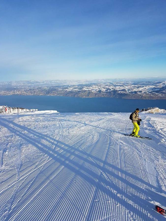 Chalet Le Telemark Thollon-les-Memises エクステリア 写真