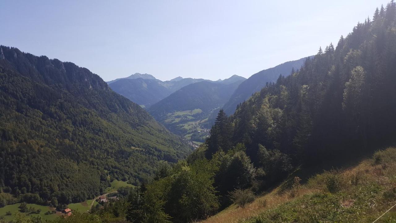 Chalet Le Telemark Thollon-les-Memises エクステリア 写真